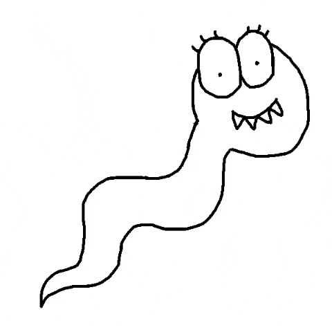 The Ultimate Sperm Racing Championship Image