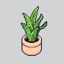 The Impact of Indoor Plants on Sleep Quality Image